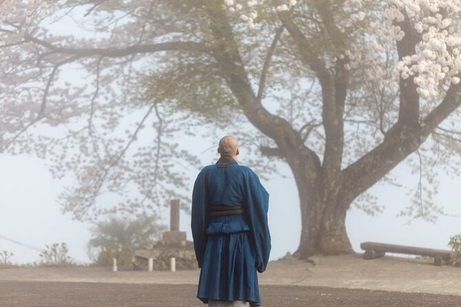 桜の前に立つ日本の禅僧