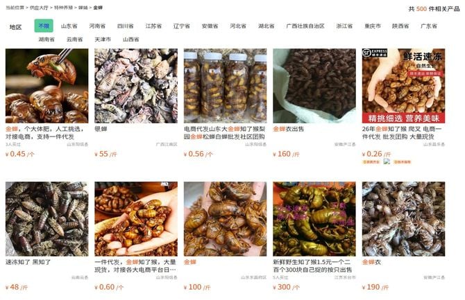 中国の農産物取引サイト。セミの写真がずらりと並ぶ。