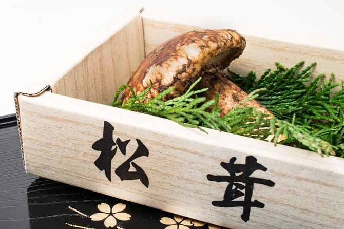 ふるさと納税は、寄付金控除として申告するのを忘れてはいけない。