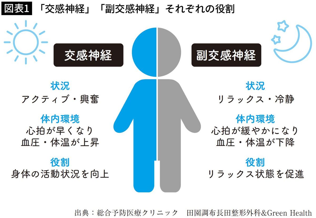 【図表1】「交感神経」「副交感神経」それぞれの役割