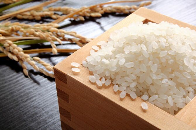 升に盛った精米された米と、稲穂