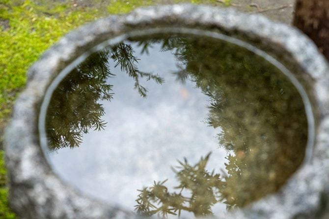 両足院の手水鉢