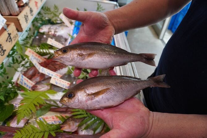 初夏に旬を迎えるイサキ。可愛い顔をしているけれど骨が固いので刺さらないように注意