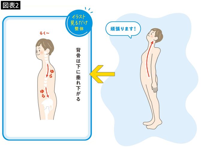 【図表2】背骨は下に垂れ下がる
