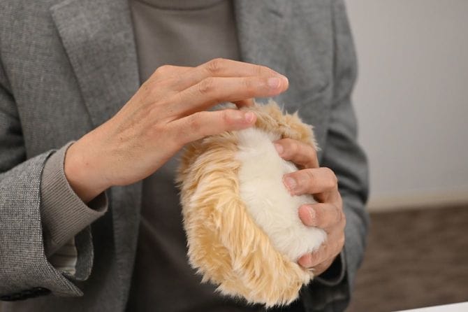 モフリンの「裏側」もモフモフで、まったくロボット感がない。