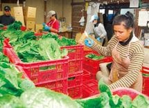 人手不足「解決策は外国人就労ではない」