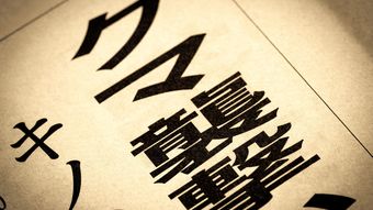 アイヌが｢あのクマだけは絶対に手を出すな｣と恐れた…毒矢も銃弾もはね返す最強の"ヨロイ熊"の正体