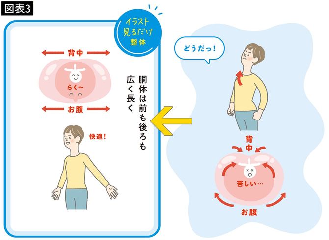 【図表3】胴体は前も後ろも広く長く