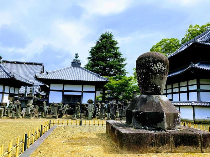 福岡・久留米にある善導寺の家康の墓