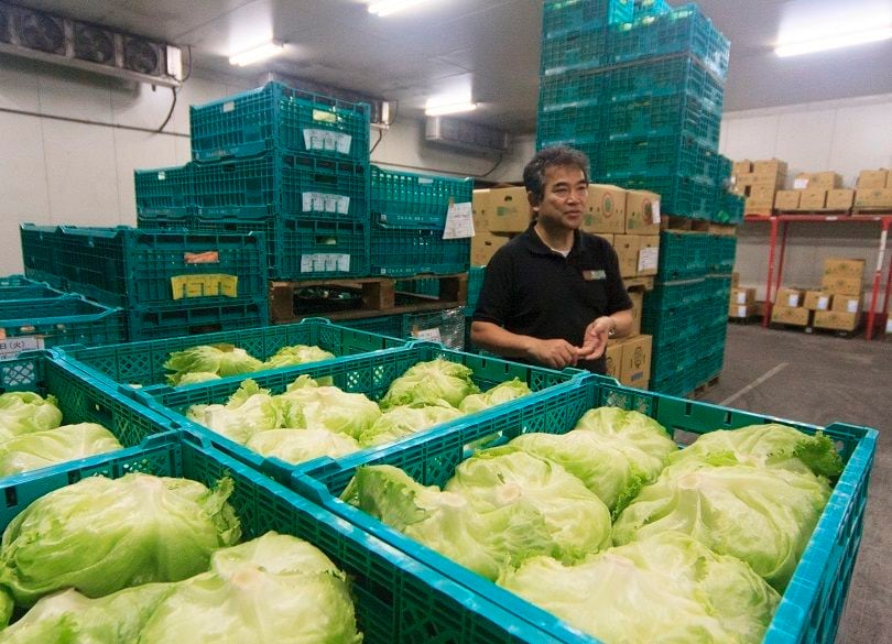 野菜の値段を「自分で」決めるための挑戦