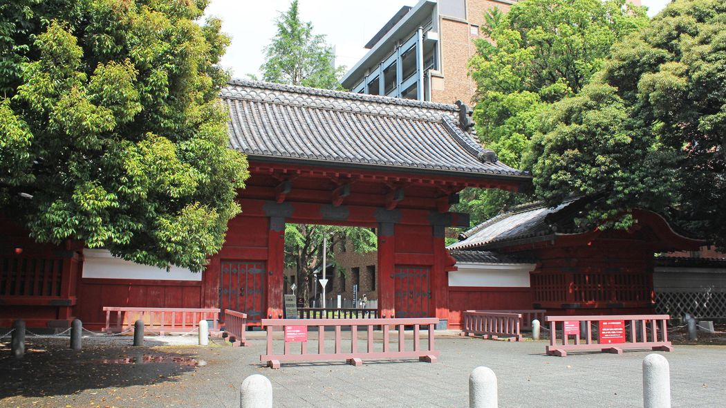 私立中高の決断｢高校受験組に東大合格はムリ｣ 中学受験組のほうが理科社会に強い