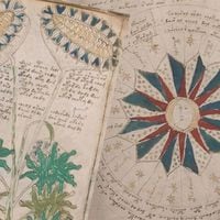 人類が100年間解けない謎がそこにある…｢世界で最も不可解な本｣に