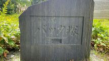 300数十億匹分の卵と幼虫を焼き殺して埋めた…150年前に実際に起きた人類とある虫との壮絶な命がけの戦い