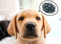 一生懸命な人ほど自分を"卑下"してしまう