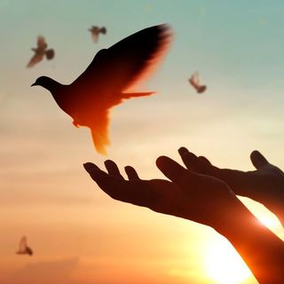 40年以上も精神科病棟に押し込まれた男性の魂の叫び 鳥かご で失われた青春とこれから President Online プレジデントオンライン