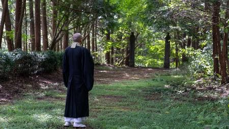 お気に入りの僧侶を天皇にしようとした 女性天皇が日本史からパタリと消えたワケ 女帝と僧侶のスキャンダル 道鏡事件 とは何だったのか President Online プレジデントオンライン