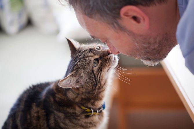 飼い猫に顔を寄せる男性