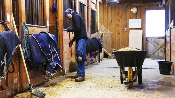 馬術馬小屋の床とスライディングストールドアをほうく若い男