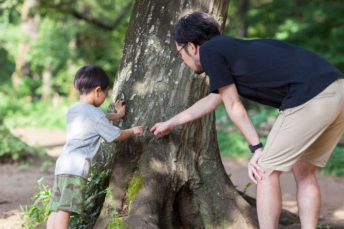 木を見る父と息子