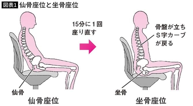 仙骨座位と坐骨座位
